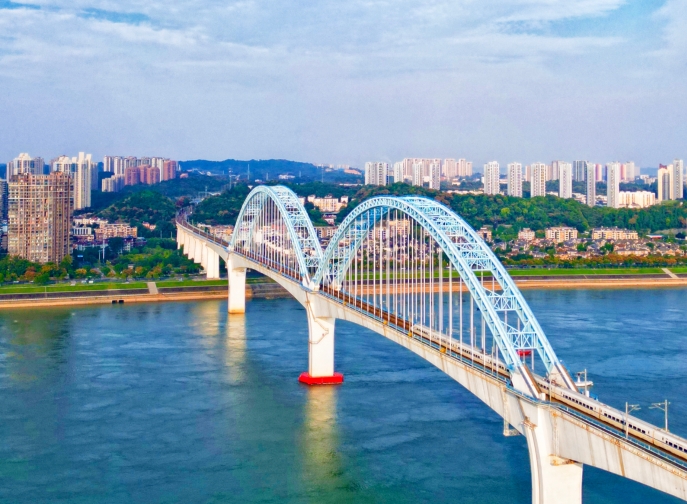 向光而行，花開滿途